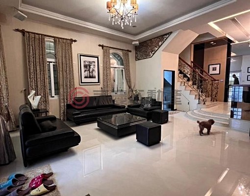 虎尾高鐵特區台大旁百坪豪華電梯度假別墅 - Image 1