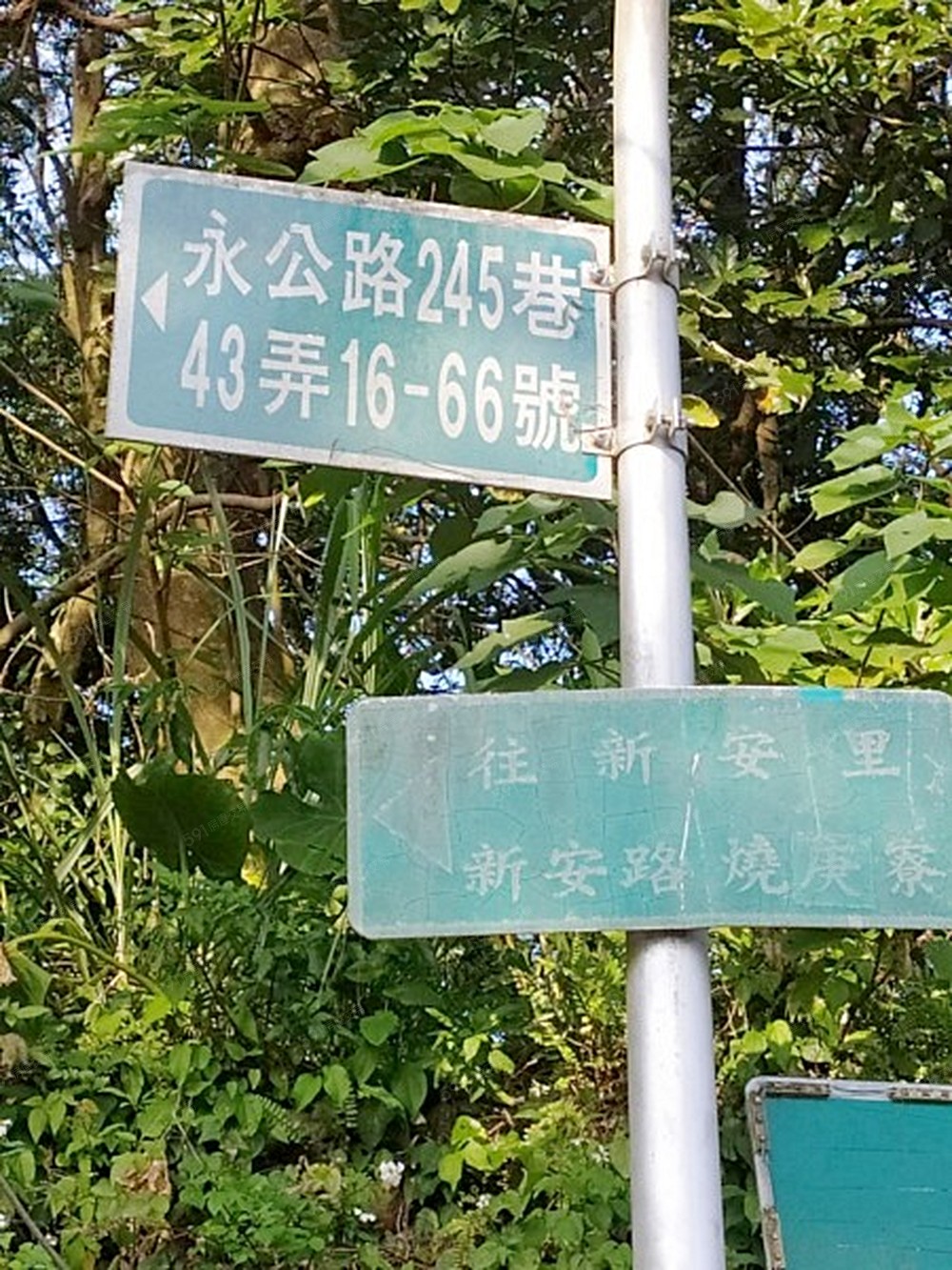 照片