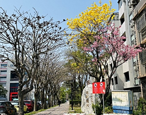 小蝸牛-2025初春寬敞舒適明亮乾濕分離廚房洗衣機近竹北 - Image 14