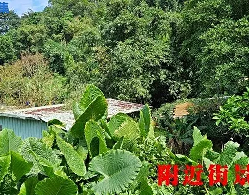 K289中和灰磘持分土地💖中信劉蕙蘭