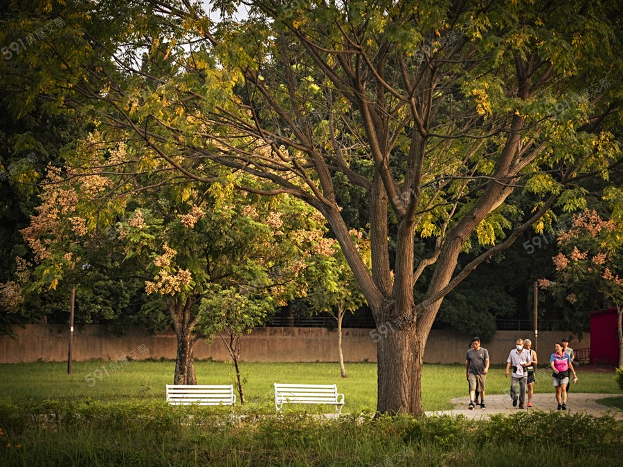 漢昇森之丘環境圖
