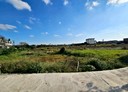蘆竹區-土地，2420坪