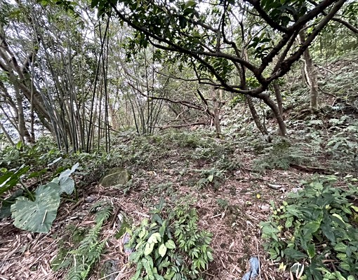 物件圖片