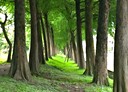 羅東鎮-土地，41.6坪