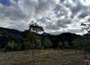 南庄鄉-土地，1114.1坪