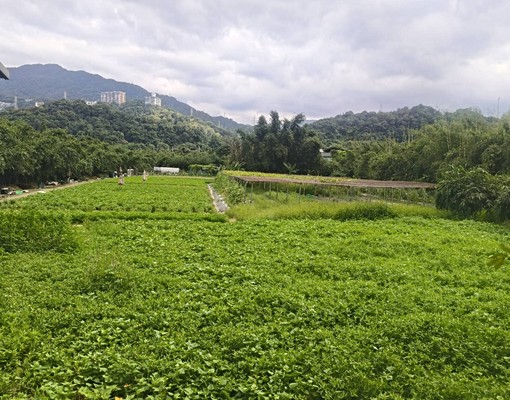 住商仁愛光復店～新店灣潭農地