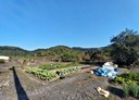 冬山鄉-土地，2146坪