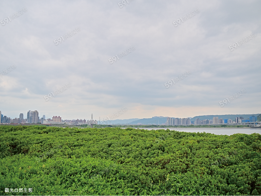 村泉蒔美環境圖