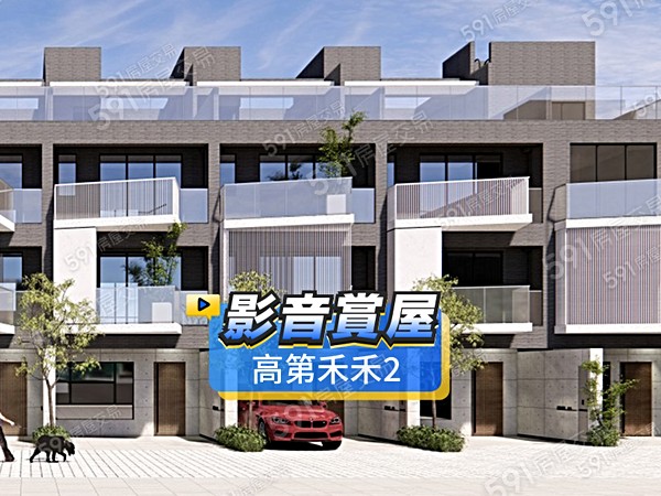 高第禾禾2