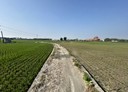 埔心鄉-霖鳳段土地，559.9坪