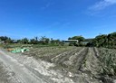 吉安鄉-東昌段土地，92坪