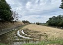 湖口鄉-和興段土地，1538.8坪