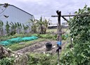 大雅區-土地，144.4坪