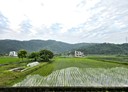 員山鄉-土地，763.8坪