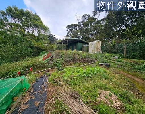 物件圖片