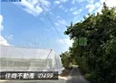 玉井區-土地，1444.7坪