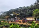 關西鎮-光明路土地，1132坪