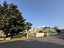 新林段有錢！350坪林口公園..
