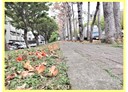 西屯區-福中十五街4房2廳，64.7坪
