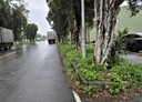 大溪區-松樹段土地，401.3坪