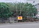 斗南鎮-土地，208.1坪