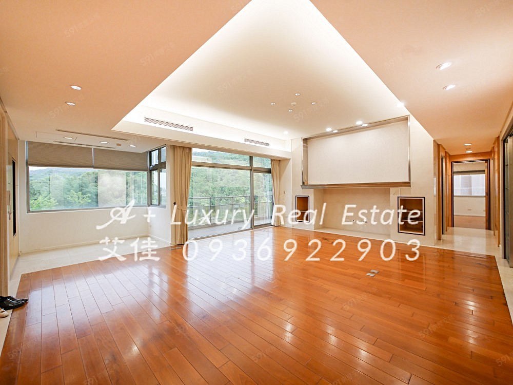 千禧林園一層一戶面公園絕美山景有傭房近捷運象山101 - Image 1