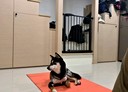 文山區-萬安街3房2廳，27.3坪