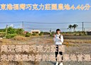 東港鎮-土地，1311坪