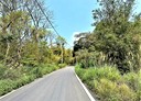 新埔鎮-土地，385.4坪