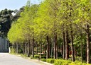 沙鹿區-保成五街3房3廳，43.5坪