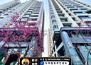 太平區-新興二街2房2廳，38.3坪