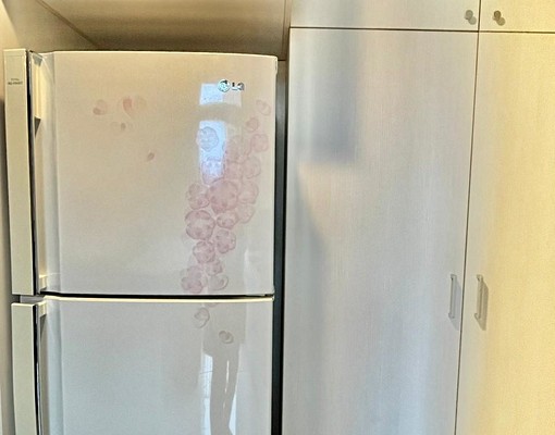 I2精美樓中樓1+1房(可租補)(可貓) - Image 2