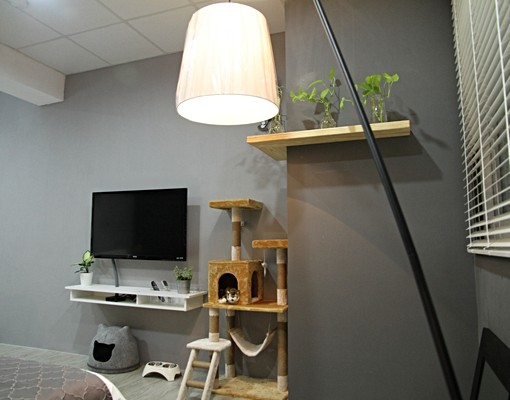 楊梅頂極唯美套房#可貓寵#頂樓平台好利用 - Image 15