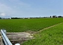 宜蘭市-土地，237.4坪