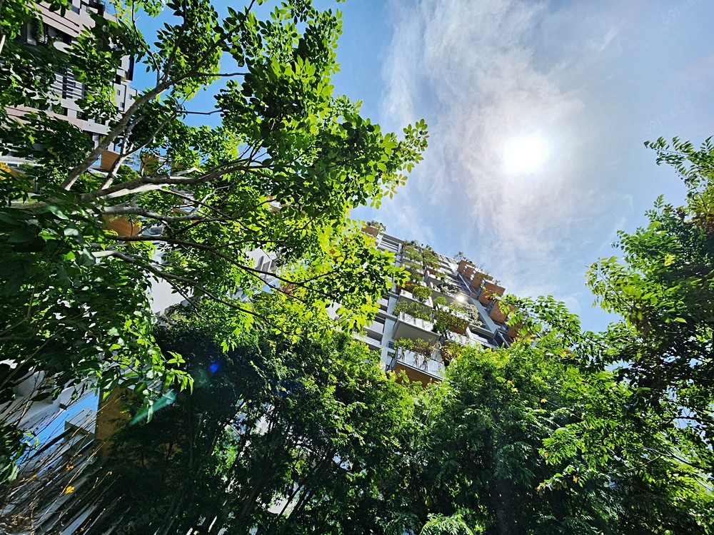 房屋圖片