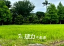 員山鄉-深惠段土地，859.8坪