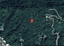 樹林區-東豐段土地，536坪