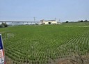 外埔區-土城路土地，326坪