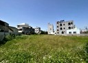 善化區-土地，390.3坪