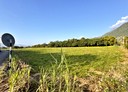 壽豐鄉-志新段土地，1731.5坪