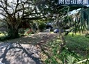 石門區-土地，251.9坪