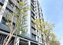 太平區-太順路2房2廳，39.1坪