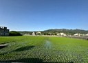 苑裡鎮-土地，1060.8坪