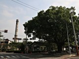 環境圖(7)