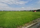 彰化市-土地，970坪