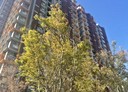 中壢區-領航南路三段3房2廳，42.4坪