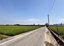 橋頭區-土地，798.6坪