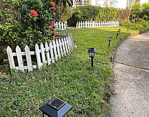 地200坪讓自己住在小花園裡.出租平房整棟4房2廳2衛有廚房 - Image 5