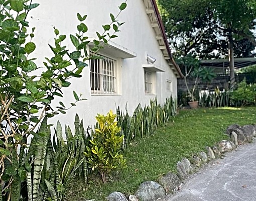 平房出租.近東華大學.壽豐行政中心 - Image 4