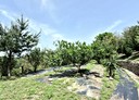 通霄鎮-福興段土地，756.3坪